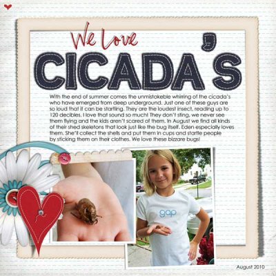 Cicadas