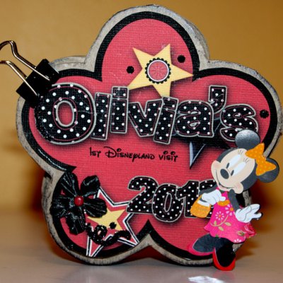Disney Hybrid Album
