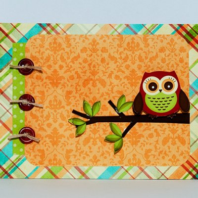Awesome Owl Card
