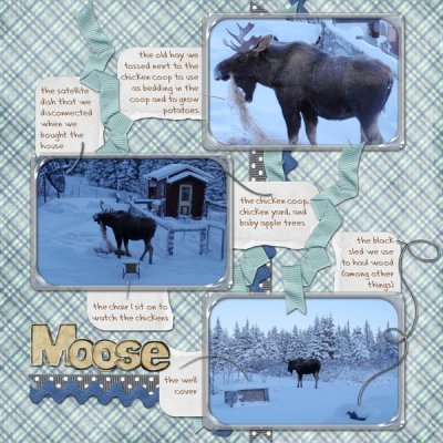 moose snow