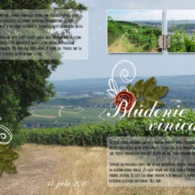 Lost in the vineyards