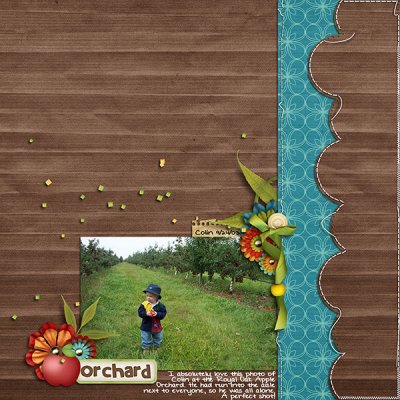 Apple Orchard