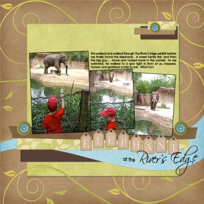 HN Elephant on the Edge 2010