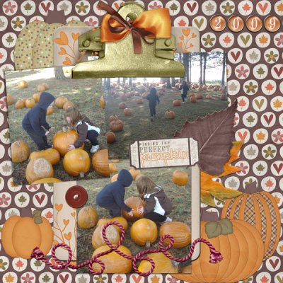 Finding the Perfect Pumpkin