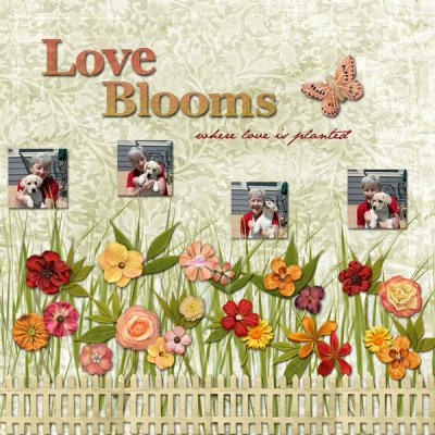 Love Blooms