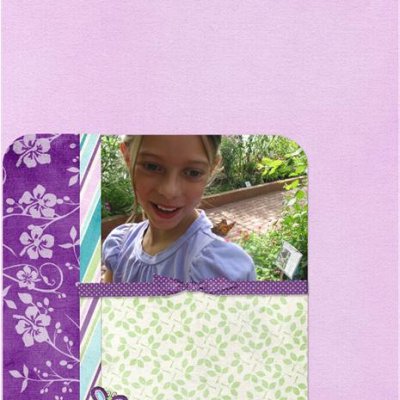 Butterfly Garden