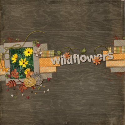 Wildflowers