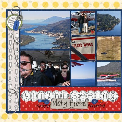 Flightseeing