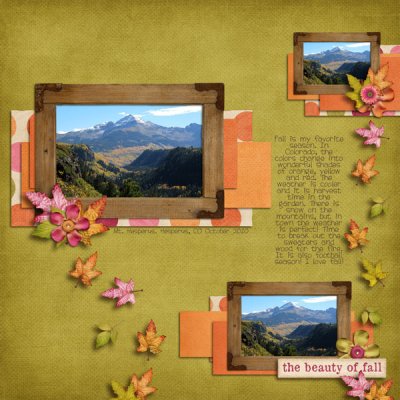 beauty of fall