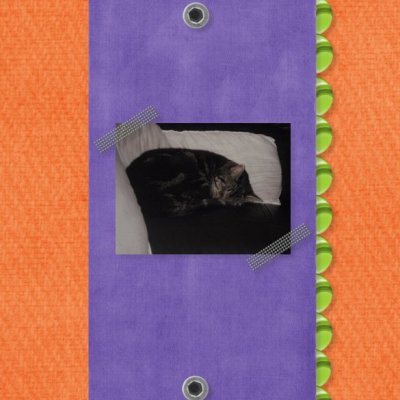 Sleeping Meg