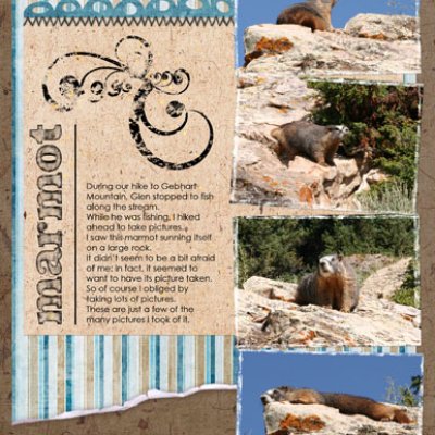 Marmot