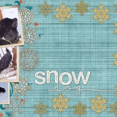 Snow Dog