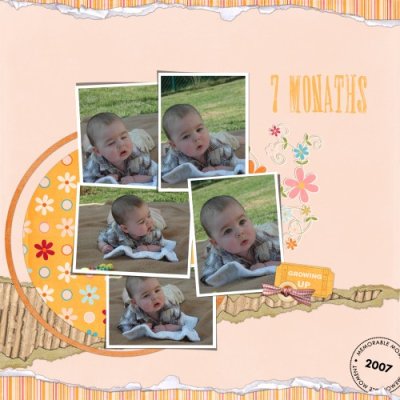 7 Monaths