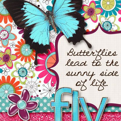 fly