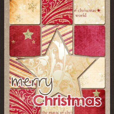Christmas Cards 2010 :: Kristin