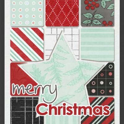 Christmas Cards 2010 :: Misty III