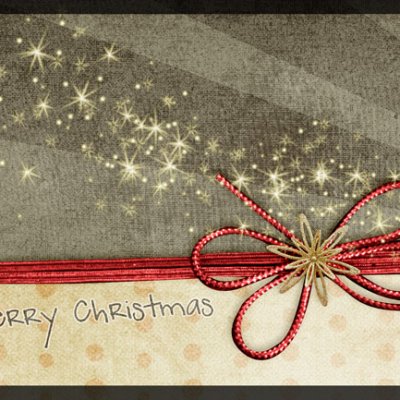 Christmas Cards 2010 :: Traci & Penny I