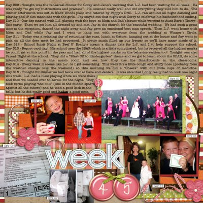 P365 Week 45