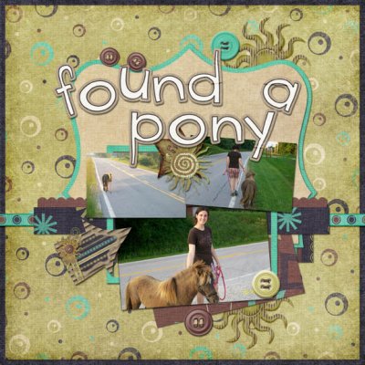 Found a Pony!