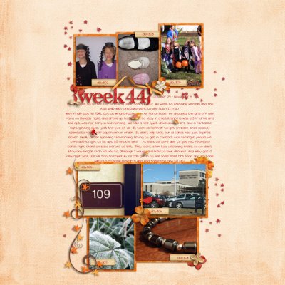 Week 44