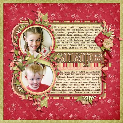 Snapshot