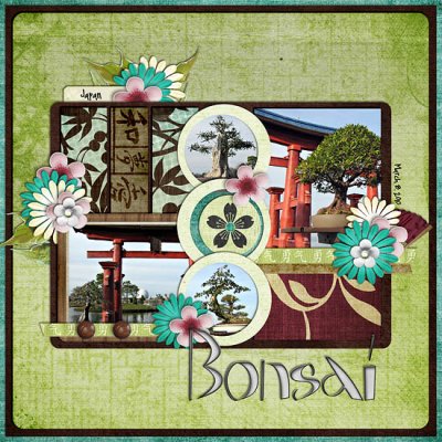 Bonsai