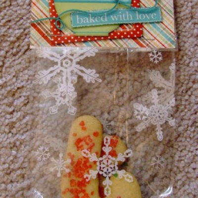 12H-Treat-Bag-Web