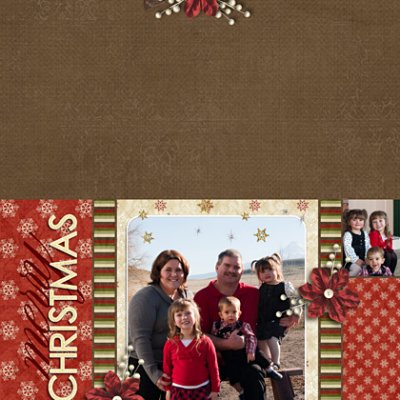 2010 Christmas Card 5x7