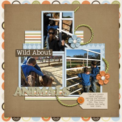 wild about animals