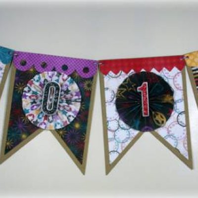 2011 Banner
