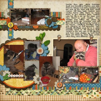 Grandpa's raccoon, left page