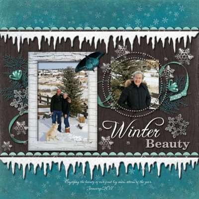 Winter Beauty