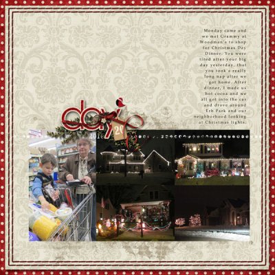 2010 Dec Daily 20