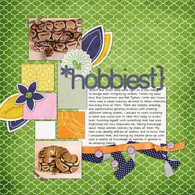 hobbiest