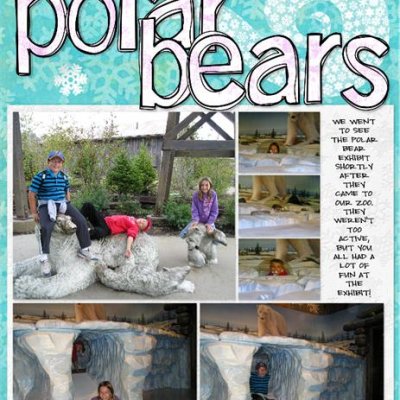 Visiting the Polar Bears