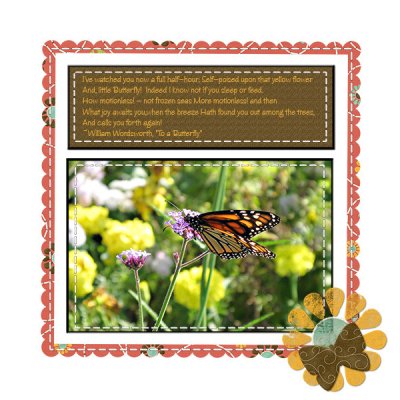 To a Butterfly