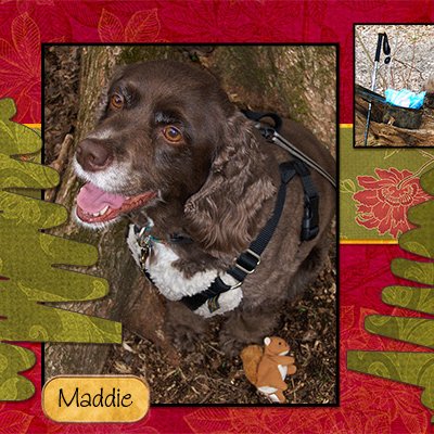 Maddie Geocaching