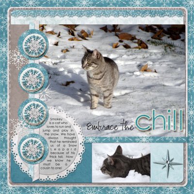 Embrace the Chill