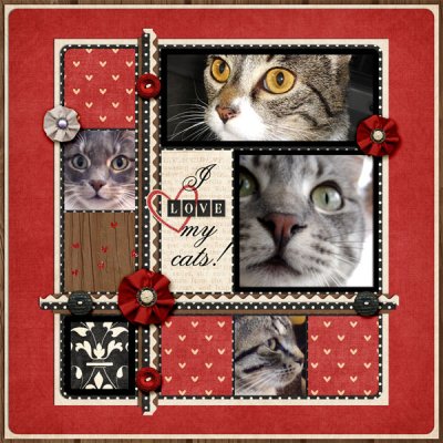 I love my cats
