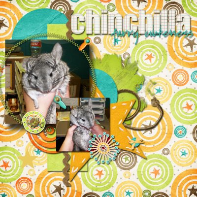 Chinhcilla