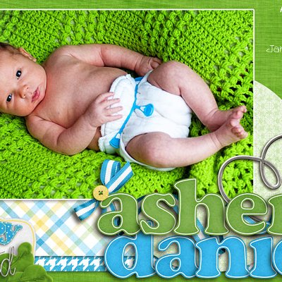 Asher's Birth Announcement
