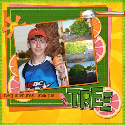 Arizona Trip:  Fresh oranges and grapefruits