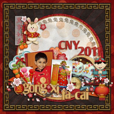 CNY 2011
