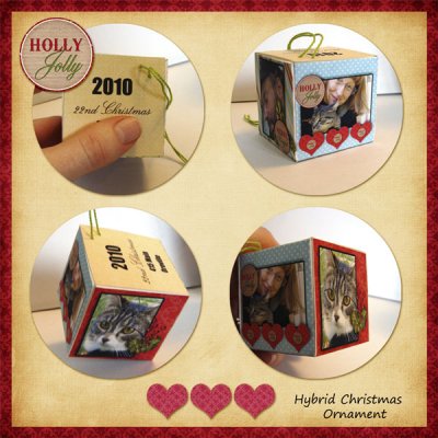 2010 Christmas Ornament