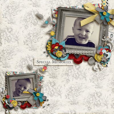 Special Memories