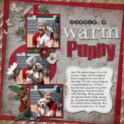 Cuddle a Warm Puppy