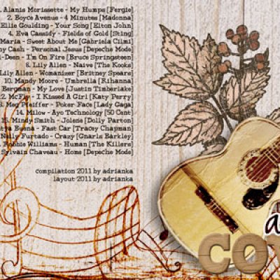 Acoustic Covers