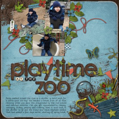 Playtime at the zoo