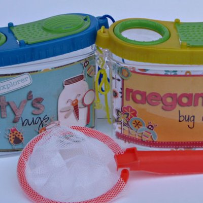 Bug Catchers