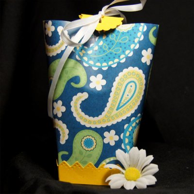 Daisy Paisley Box in a Bag